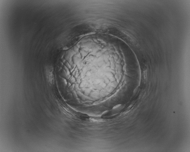 X0000071380963200606231242