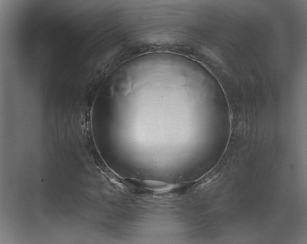 X0000071380966200606231242