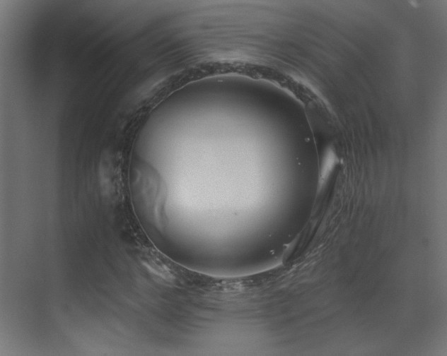 X0000071380968200606231242