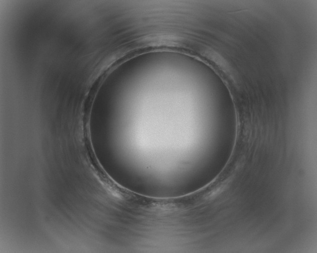 X0000071380978200606231241