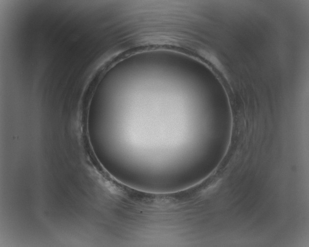 X0000071380979200606231241