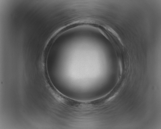 X0000071380981200606231241