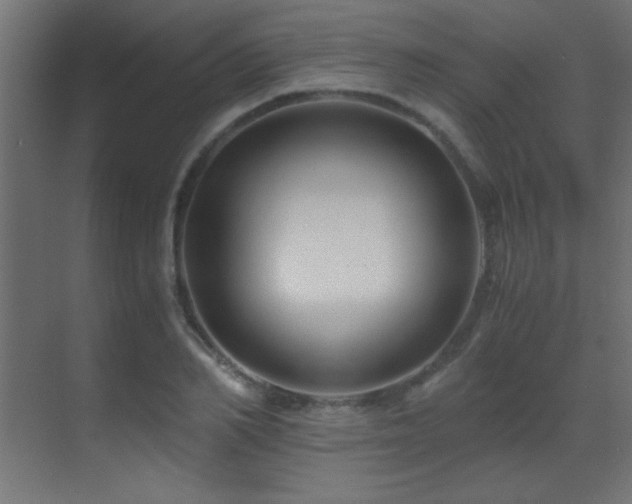 X0000071380982200606231241