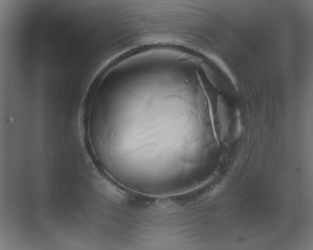 X0000071380983200606231241