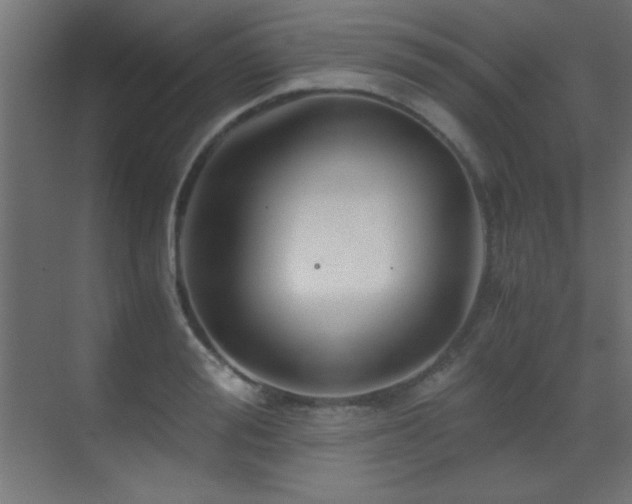 X0000071380988200606231241