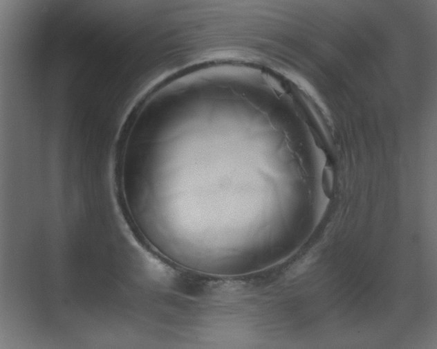 X0000071380991200606231241