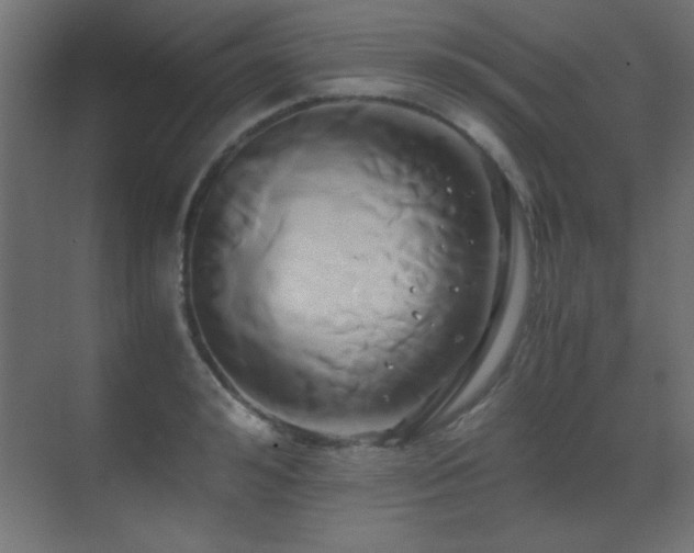 X0000071380992200606231241
