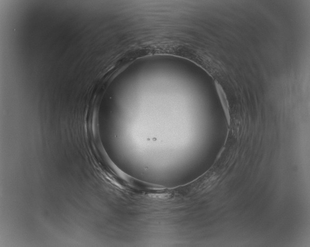 X0000071381010200606231240