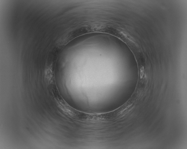 X0000071381011200606231240