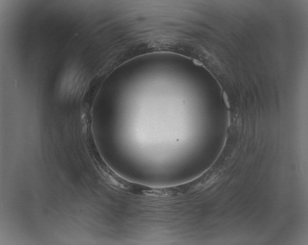 X0000071381012200606231240