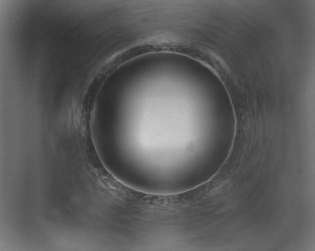 X0000071381016200606231240