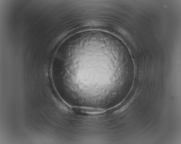 X0000071381017200606231240