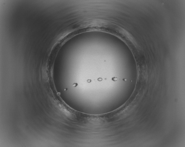 X0000071381018200606231240