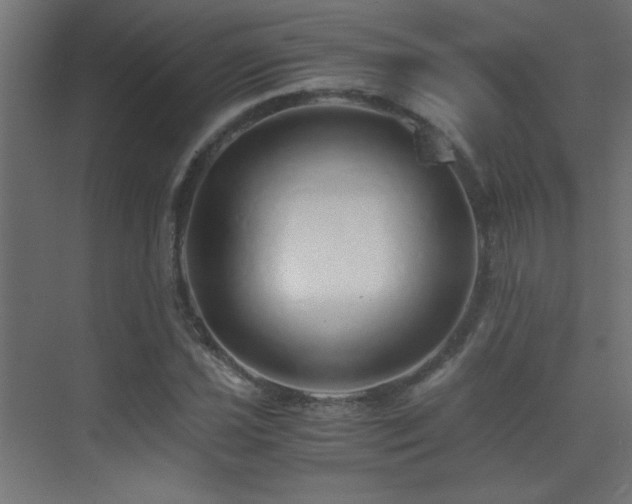 X0000071381021200606231240