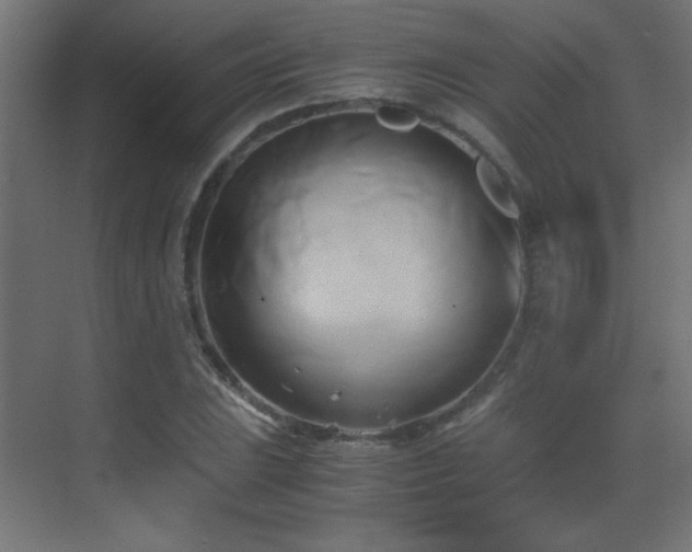 X0000071381023200606231240