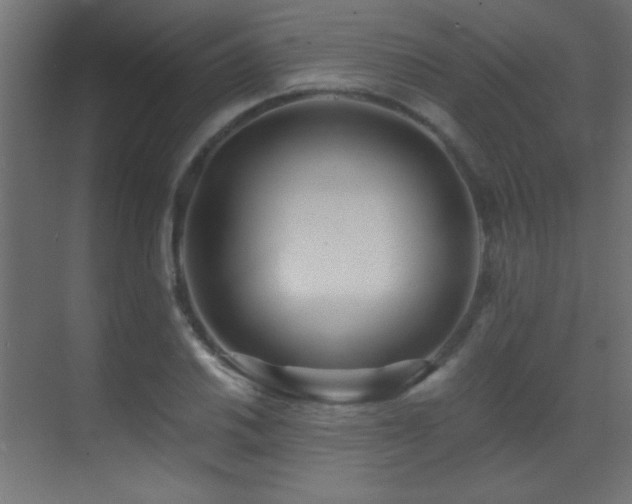 X0000071381030200606231240