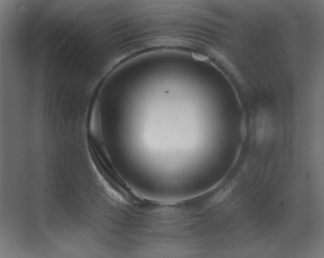 X0000071381033200606231240