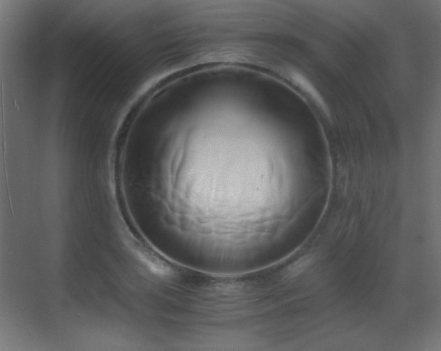 X0000071381035200606231240