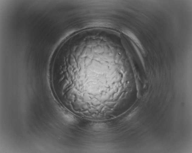 X0000071381043200606231241
