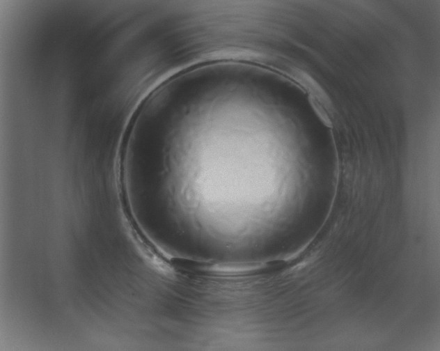 X0000071381044200606231241