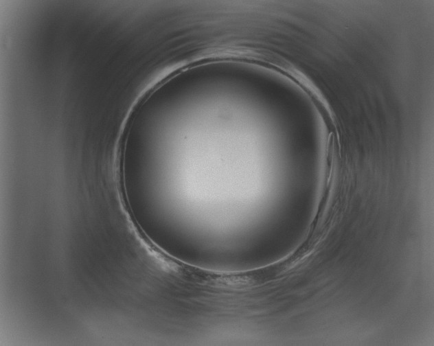 X0000071381053200606231241