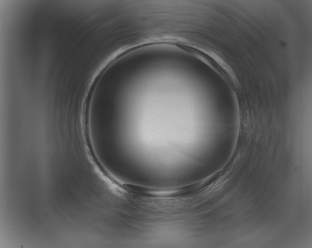 X0000071381054200606231241