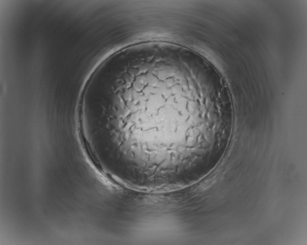 X0000071381056200606231241