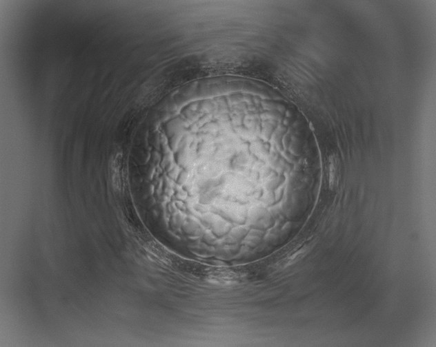 X0000071381059200606231240