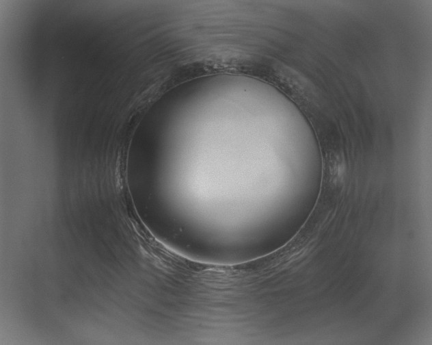 X0000071381060200606231240
