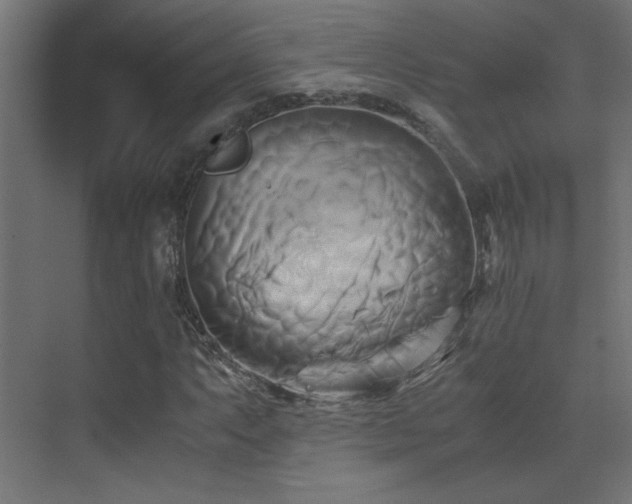 X0000071381063200606231240