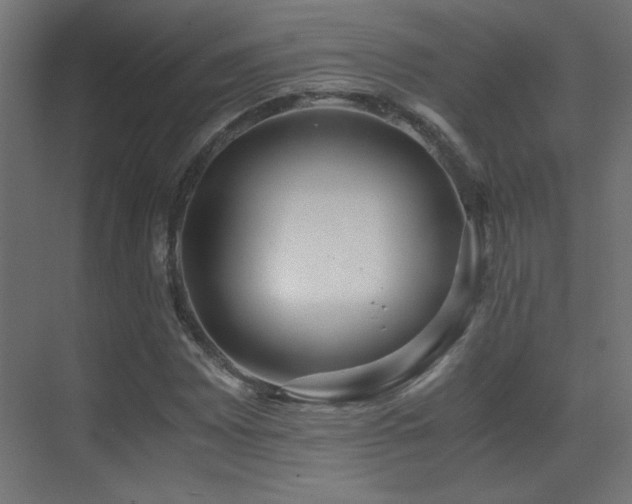 X0000071381065200606231240