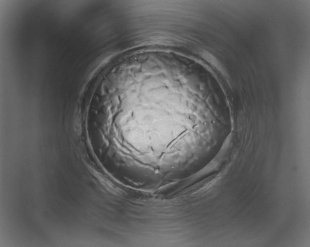 X0000071381067200606231240