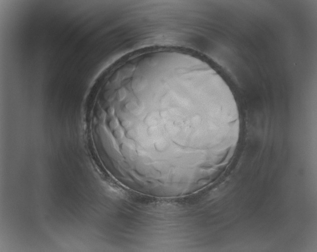 X0000071381070200606231240