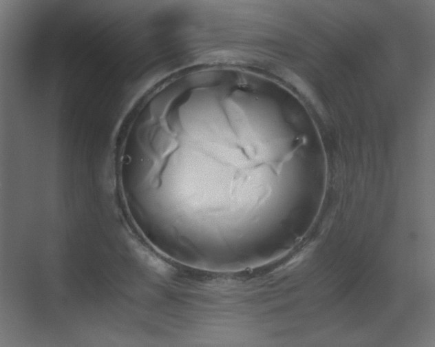 X0000071381075200606231240