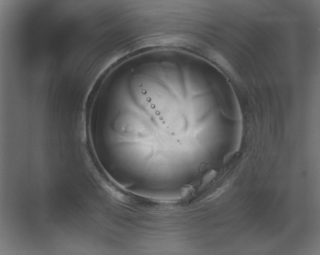 X0000071381079200606231240