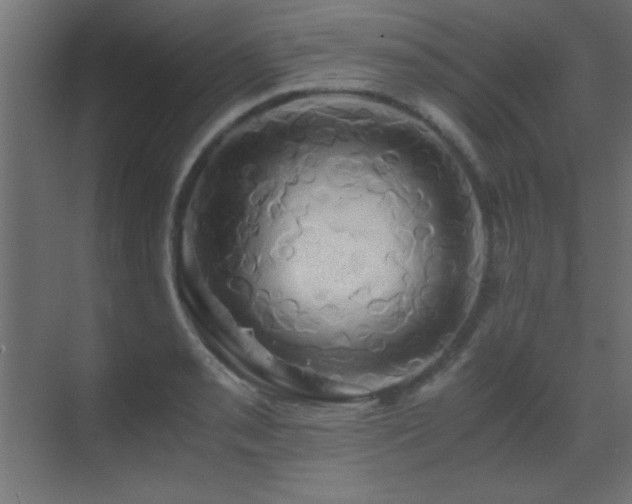X0000071381085200606231240