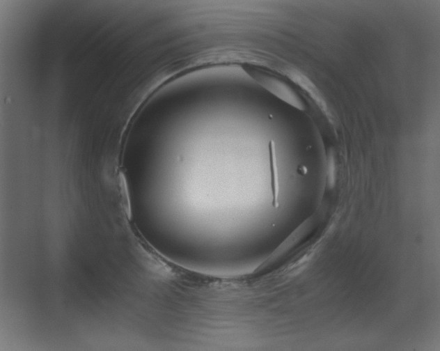 X0000071381089200606231239