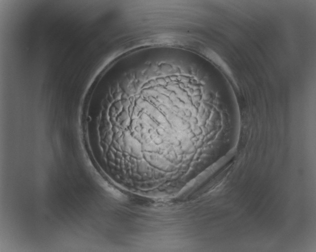 X0000071381091200606231239