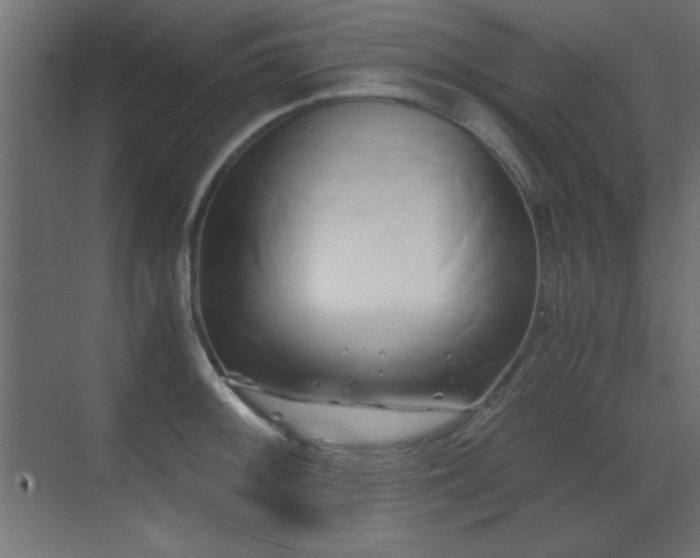 X0000071381092200606231239