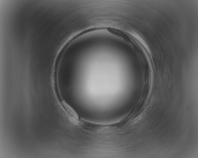 X0000071381093200606231239