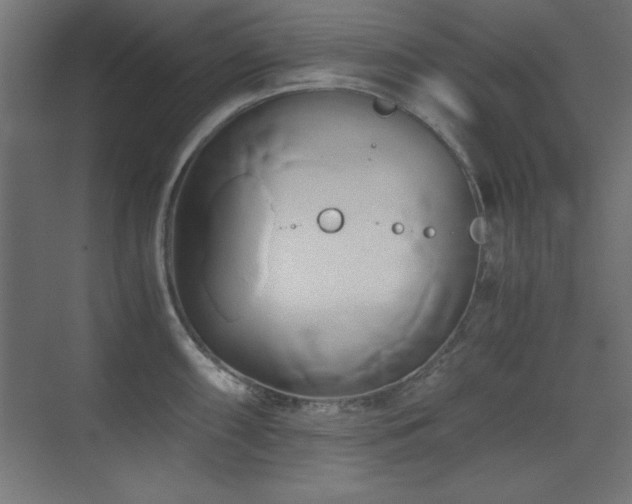 X0000071381098200606231239