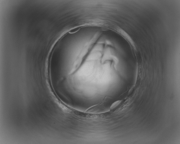 X0000071381099200606231239