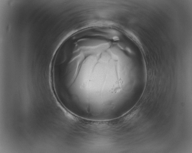 X0000071381103200606231239