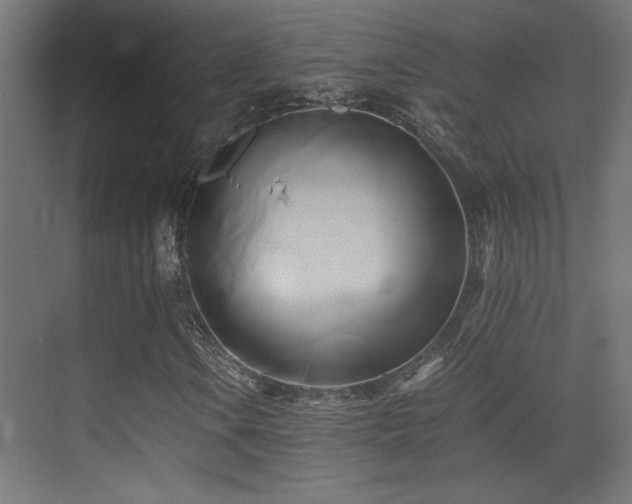 X0000071381106200606231238