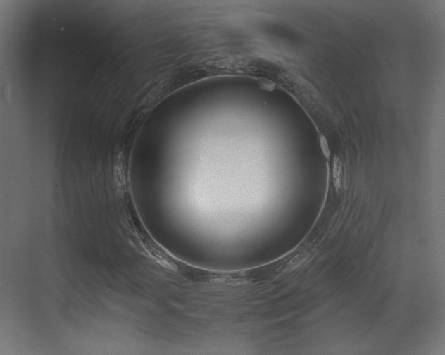 X0000071381107200606231238
