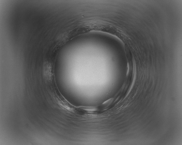 X0000071381108200606231238