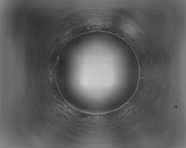 X0000071381109200606231238