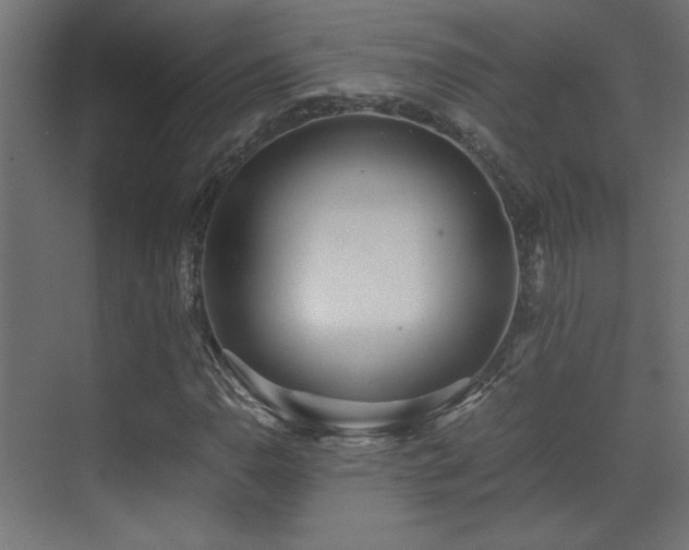 X0000071381110200606231239