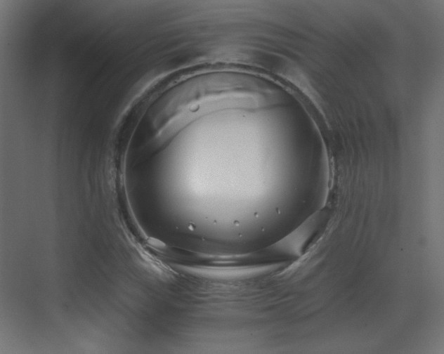 X0000071381115200606231239