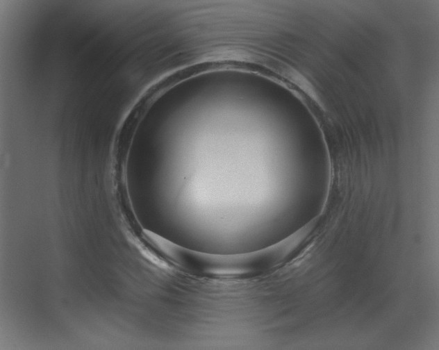 X0000071381116200606231239